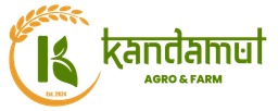 kandamul